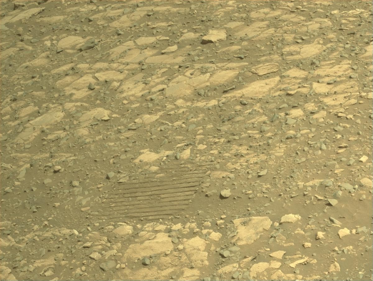 Mars image captured by NAVCAM_RIGHT on Perseverance