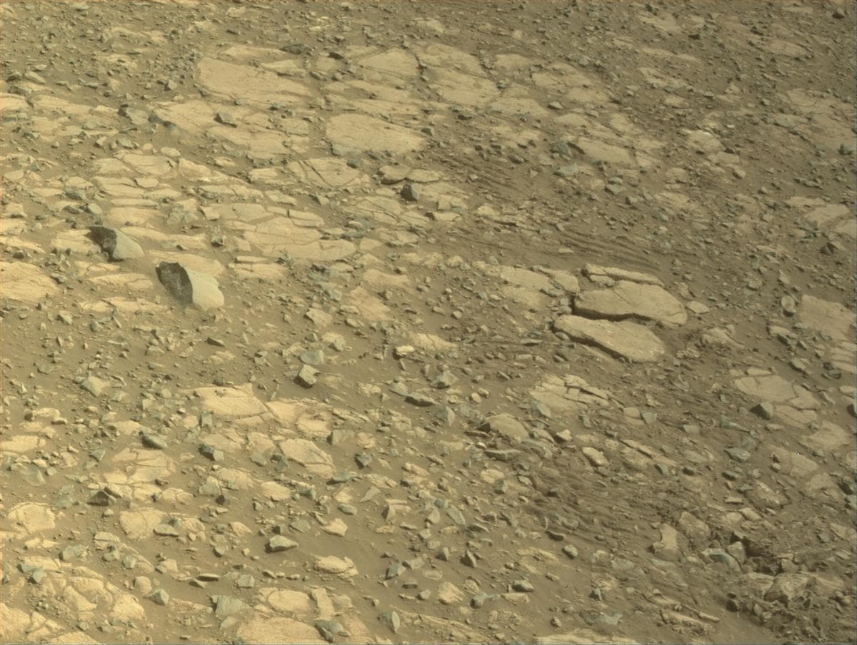 Mars image captured by NAVCAM_RIGHT on Perseverance
