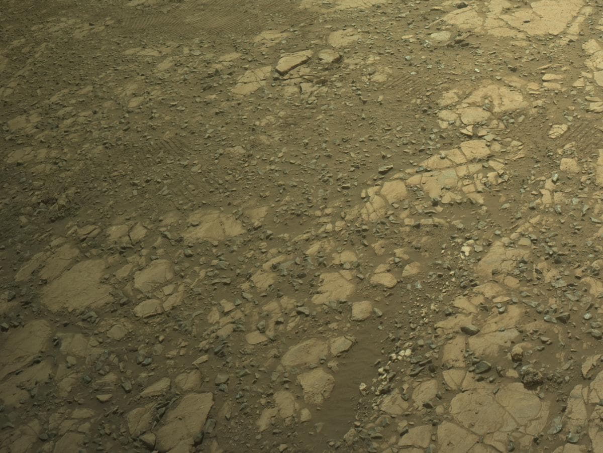 Mars image captured by NAVCAM_RIGHT on Perseverance