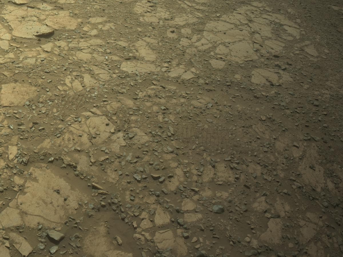 Mars image captured by NAVCAM_RIGHT on Perseverance