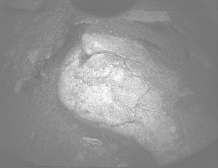Mars image captured by PIXL_MCC on Perseverance
