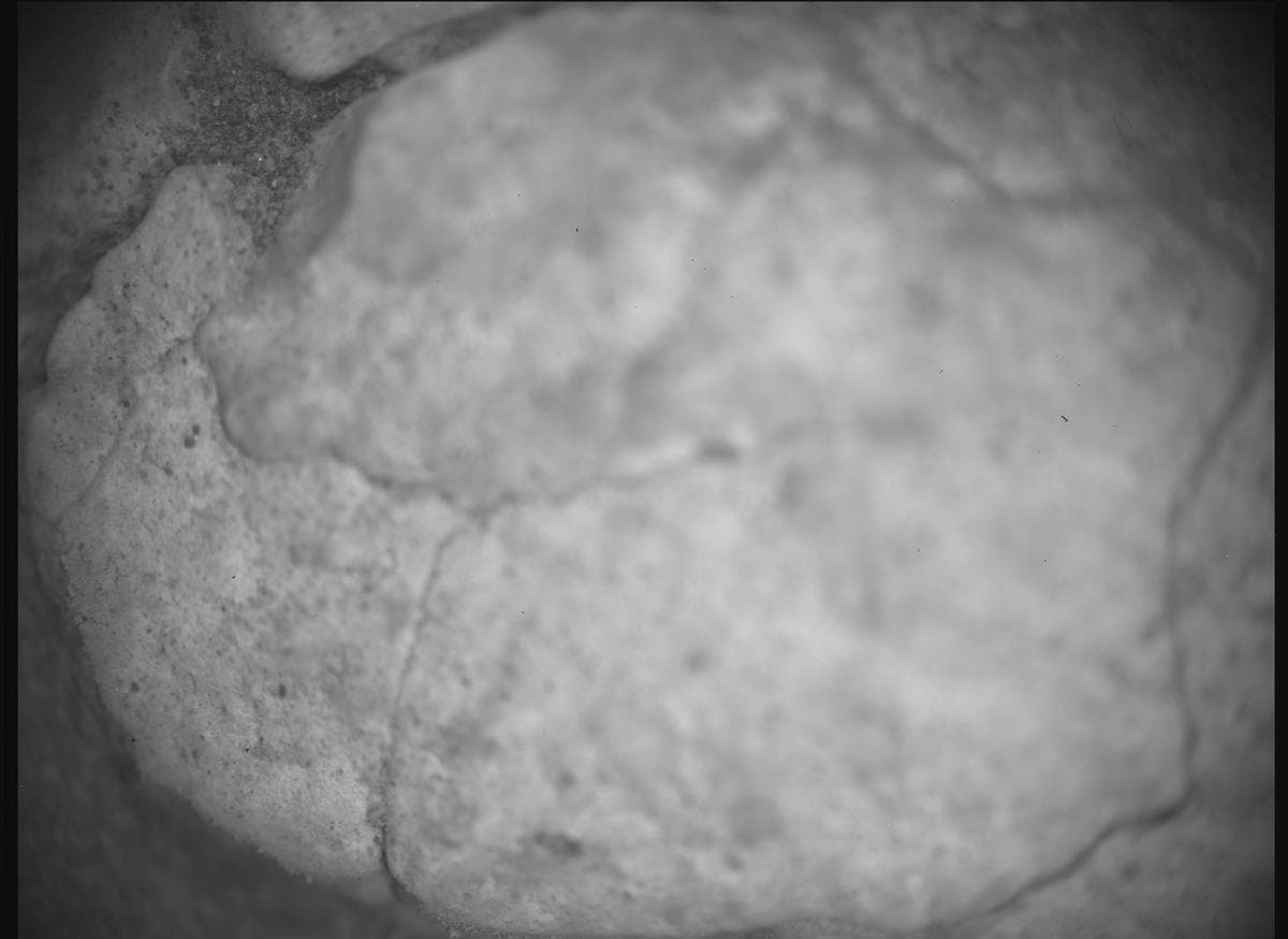 Mars image captured by SHERLOC_ACI on Perseverance