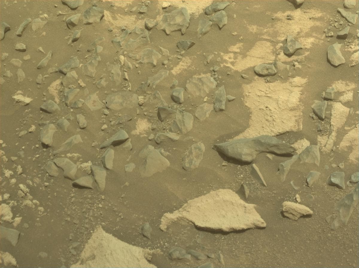 Mars rover photo