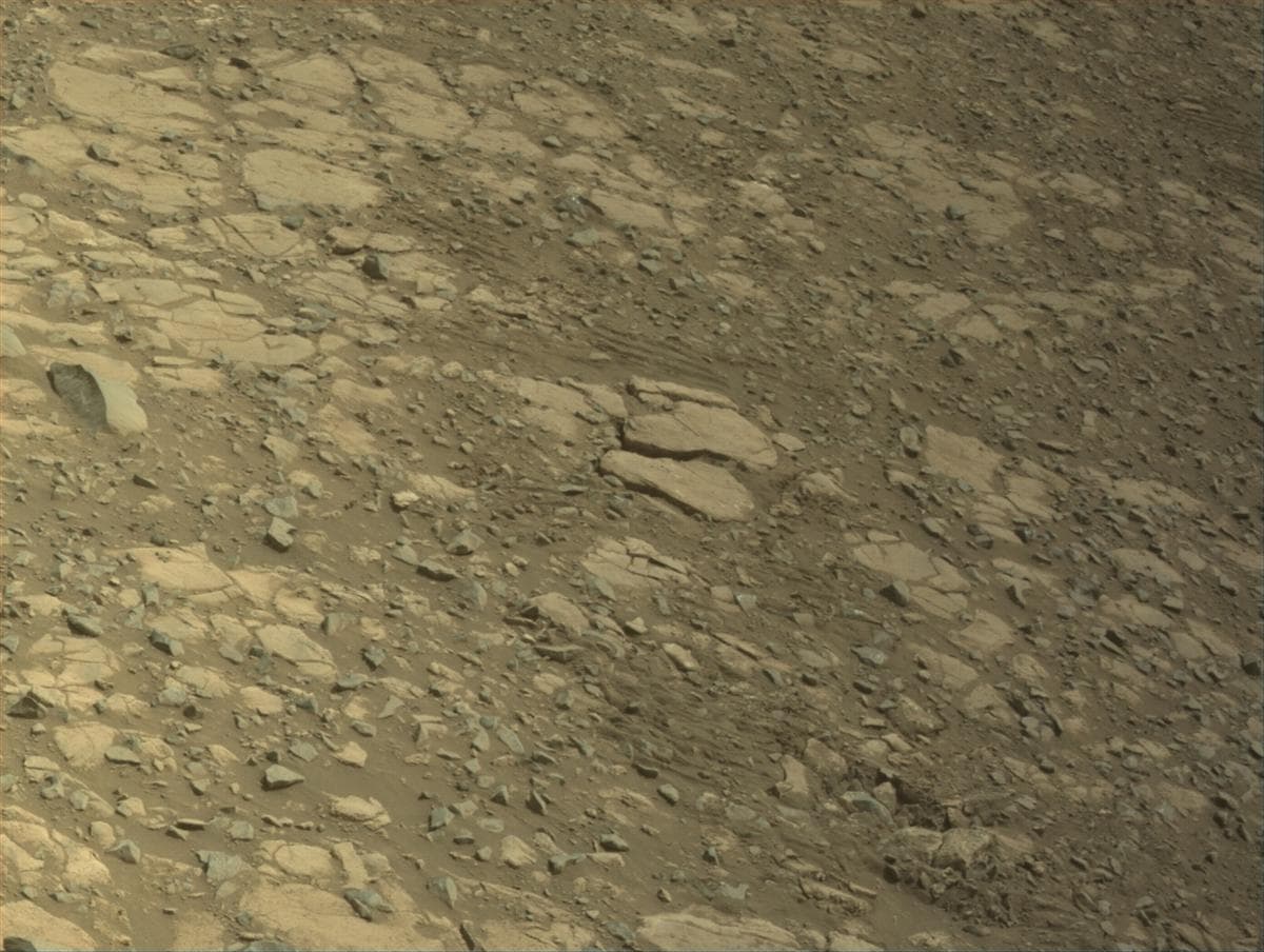 Mars image captured by NAVCAM_LEFT on Perseverance