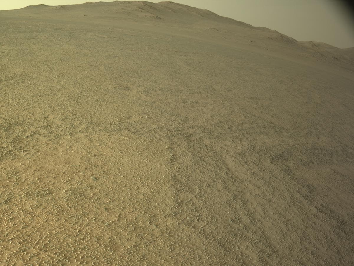 Mars image captured by NAVCAM_LEFT on Perseverance