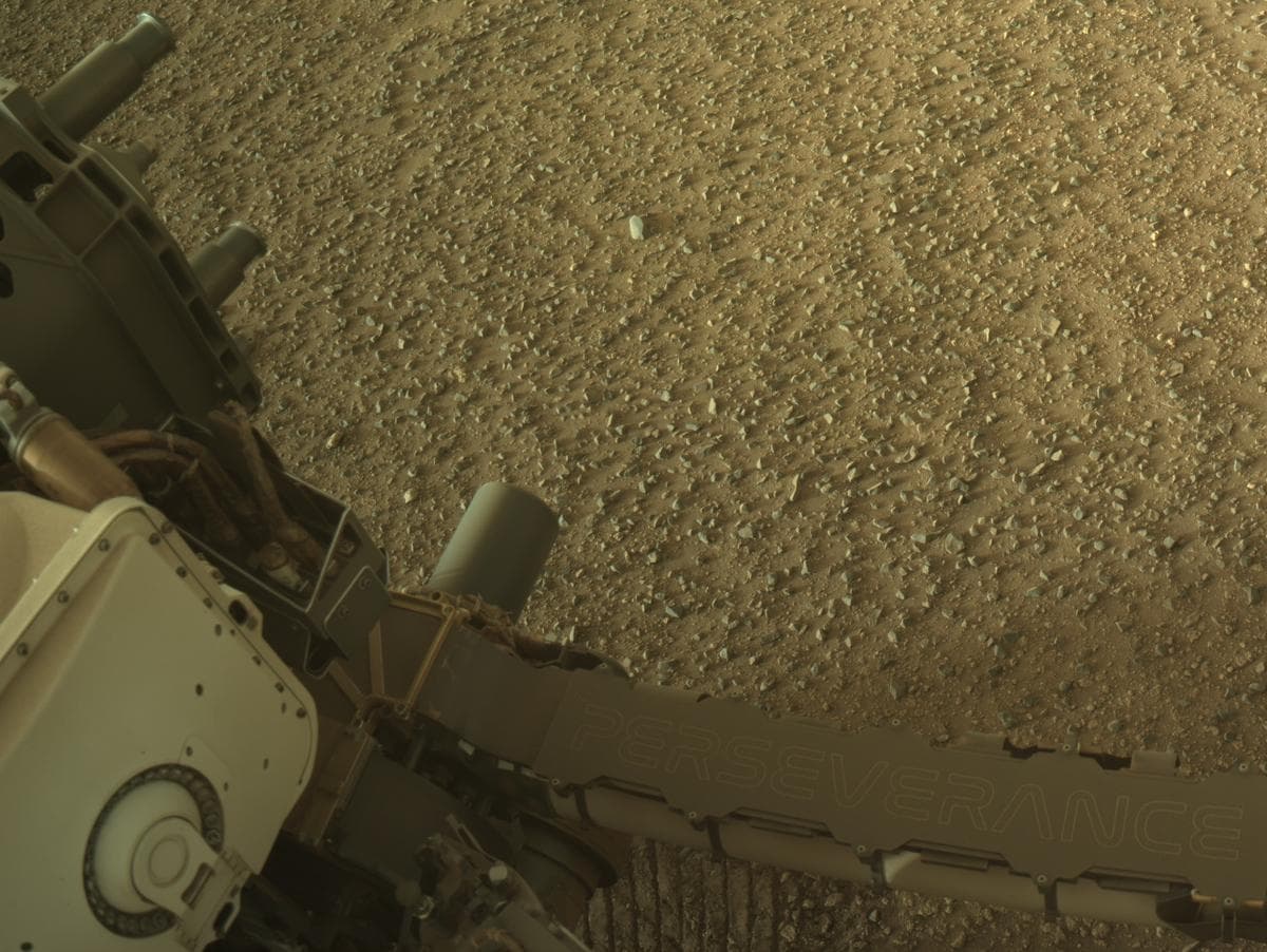 Mars image captured by NAVCAM_LEFT on Perseverance