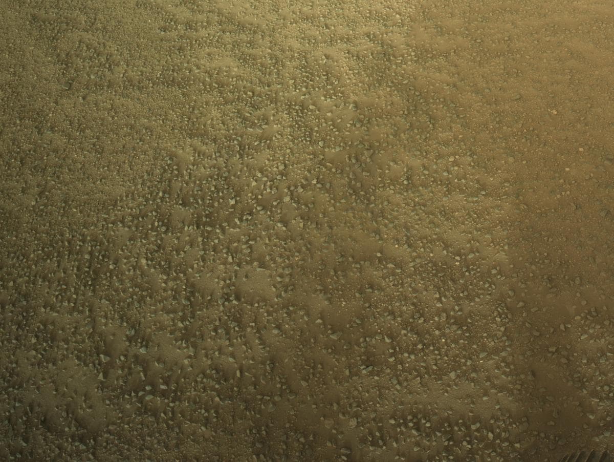 Mars image captured by NAVCAM_LEFT on Perseverance