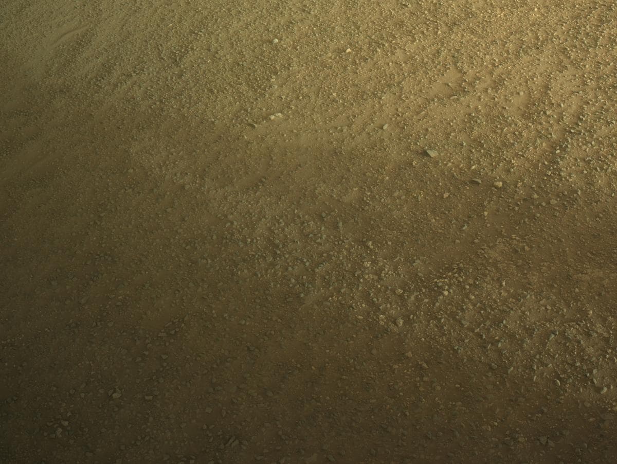 Mars image captured by NAVCAM_LEFT on Perseverance