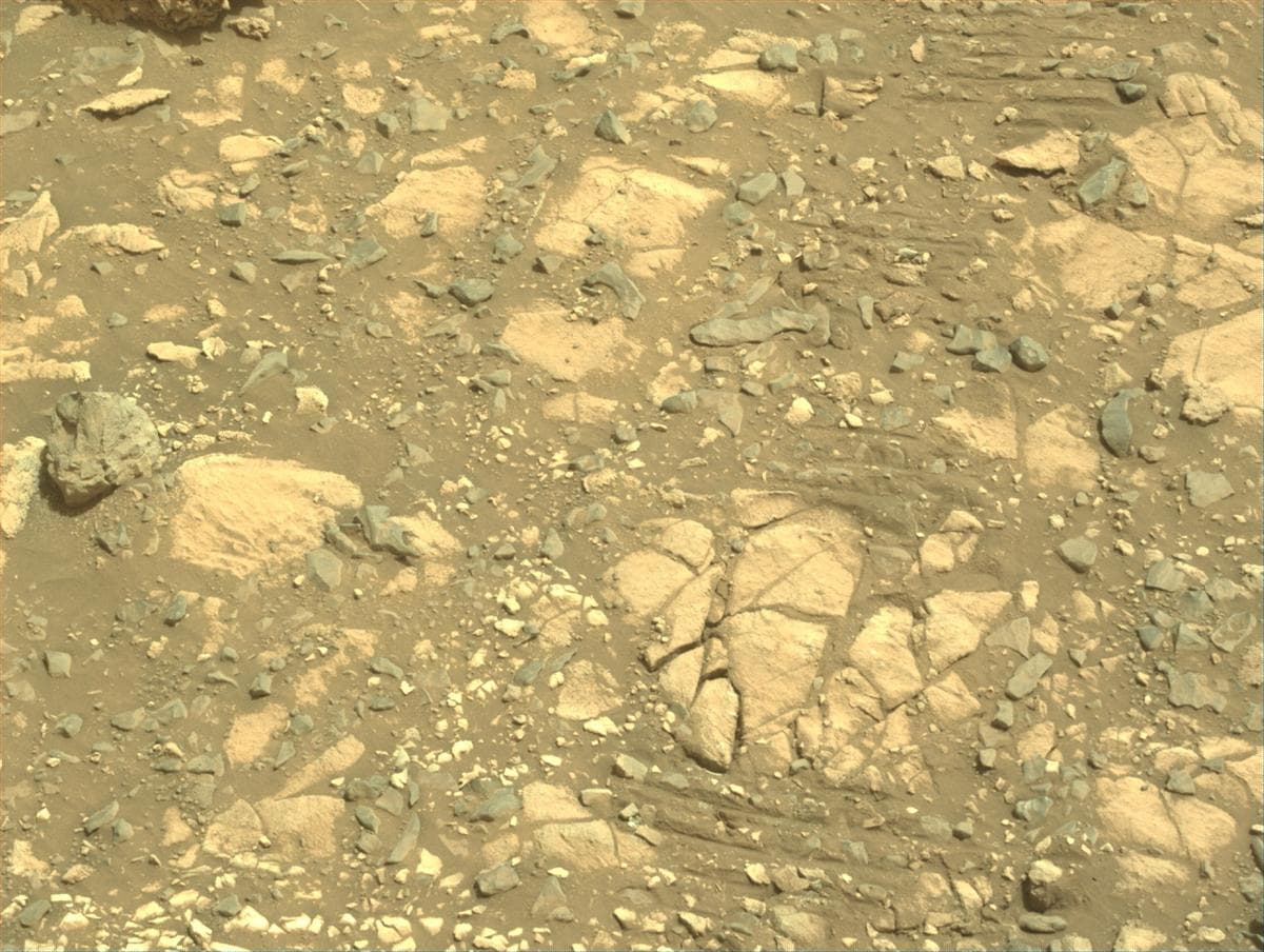 Mars image captured by NAVCAM_RIGHT on Perseverance
