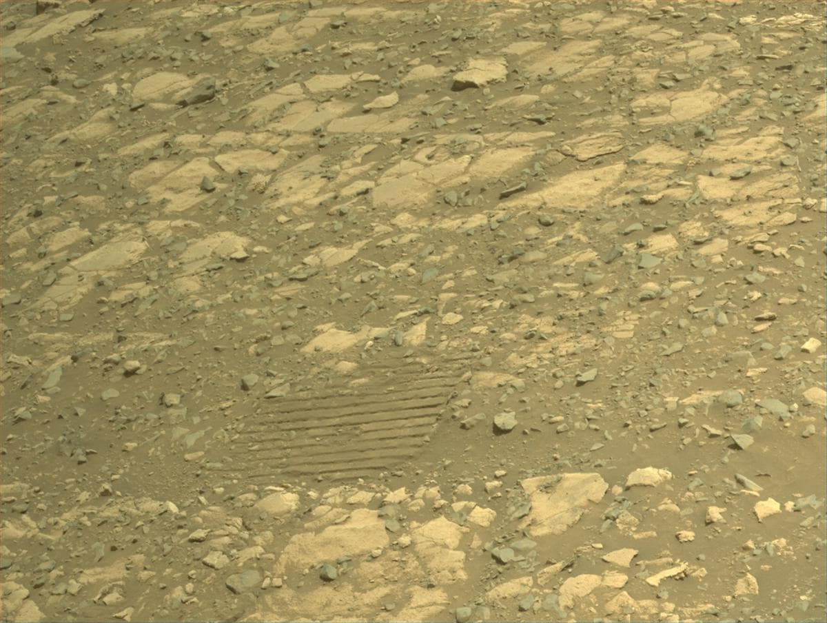 Mars image captured by NAVCAM_RIGHT on Perseverance