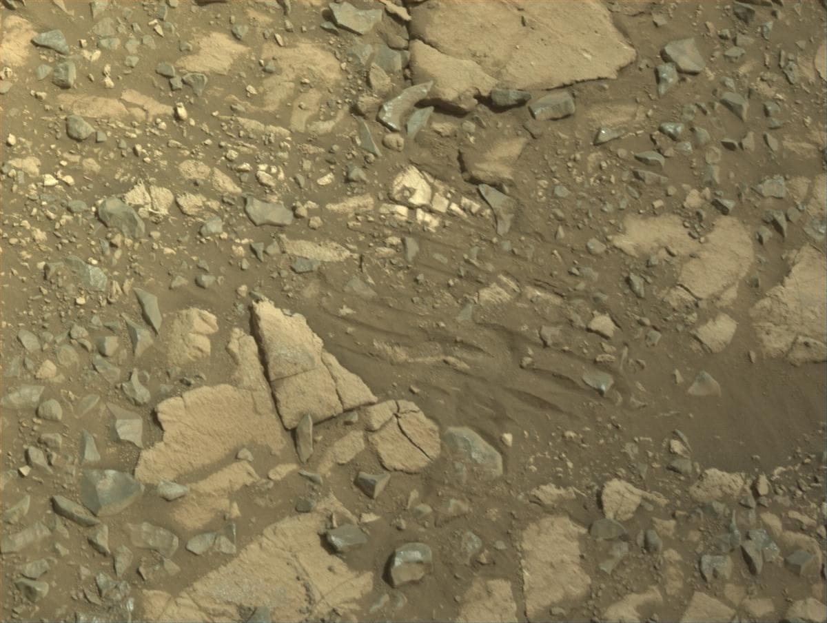 Mars image captured by NAVCAM_RIGHT on Perseverance