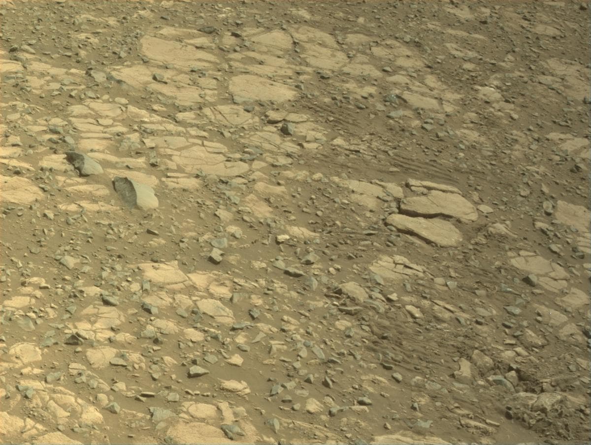 Mars image captured by NAVCAM_RIGHT on Perseverance