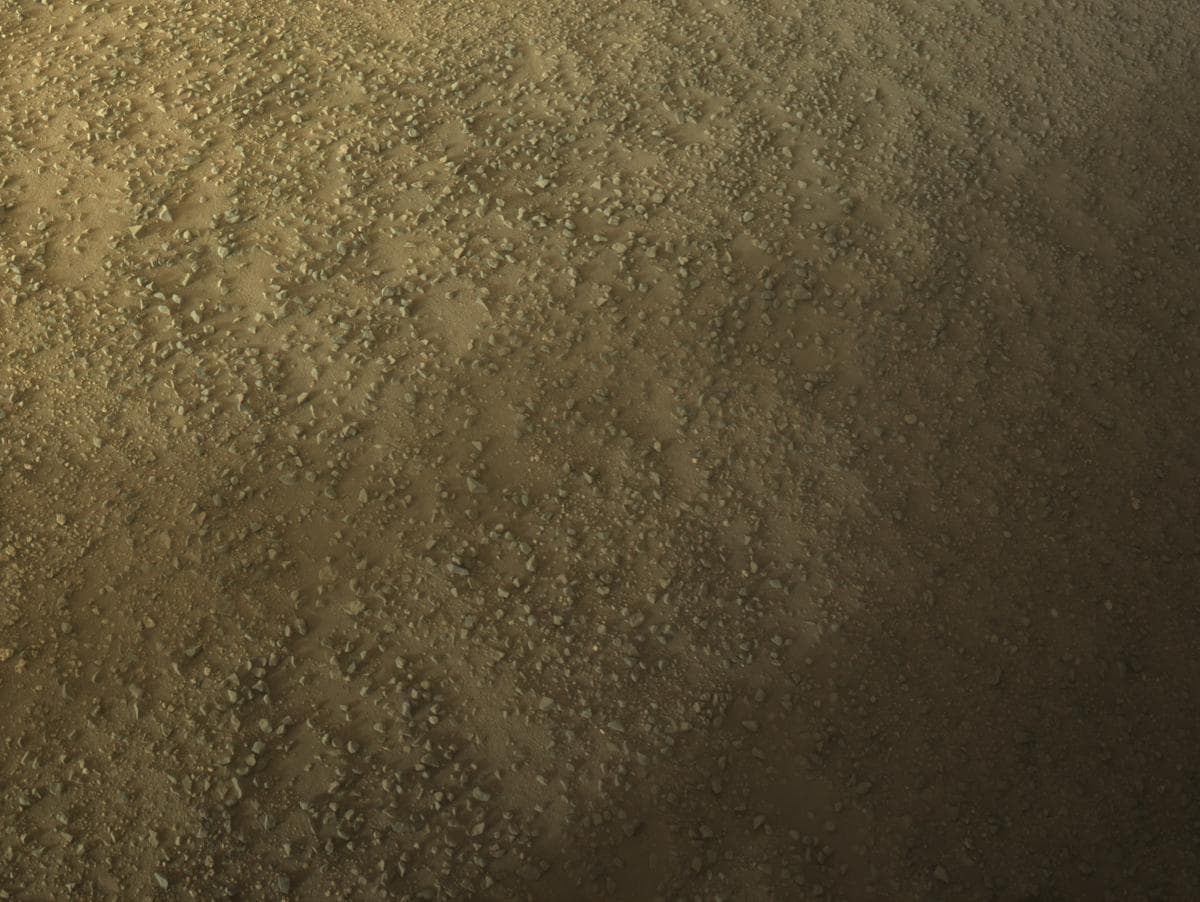 Mars image captured by NAVCAM_RIGHT on Perseverance