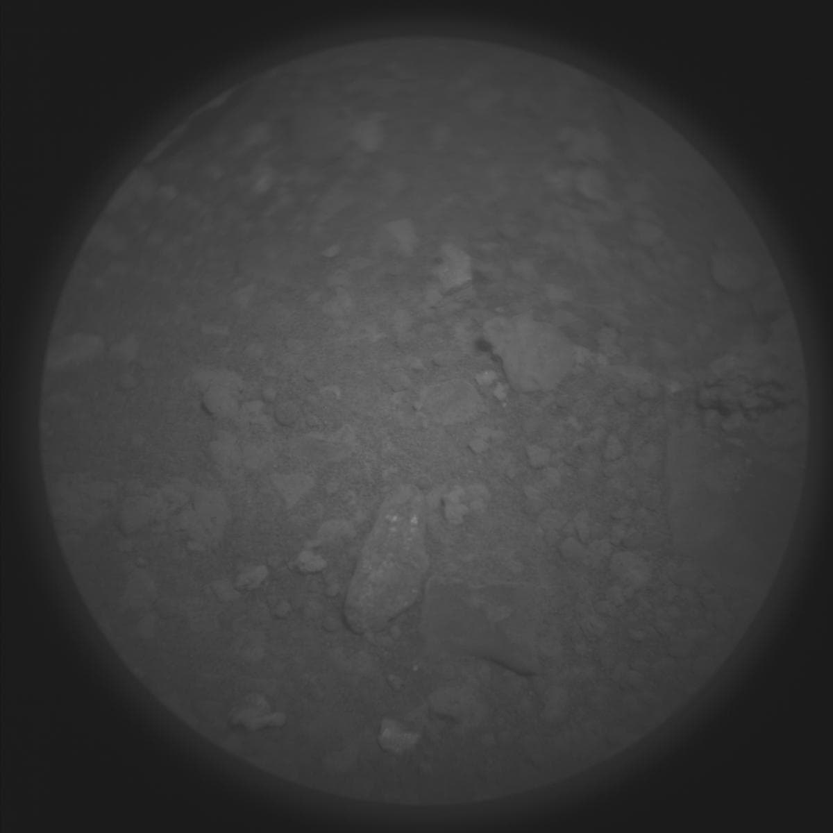 Mars image captured by SUPERCAM_RMI on Perseverance