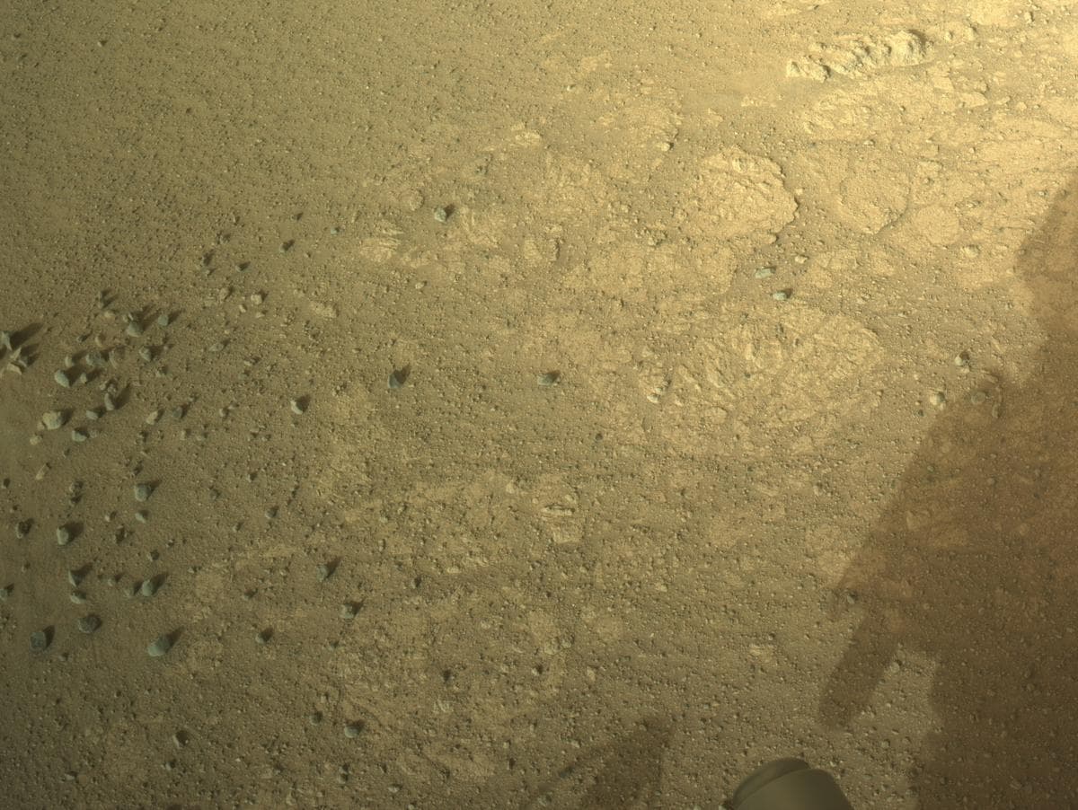 Mars image captured by NAVCAM_LEFT on Perseverance
