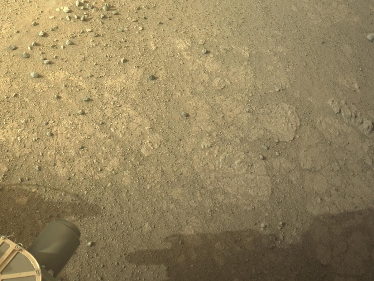 Mars image captured by NAVCAM_RIGHT on Perseverance