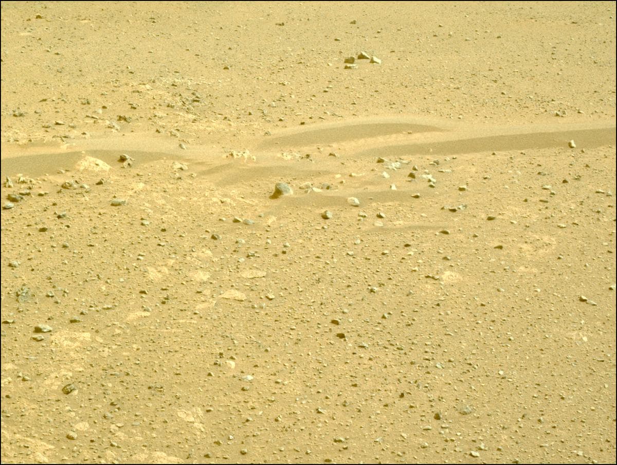 Mars image captured by NAVCAM_LEFT on Perseverance