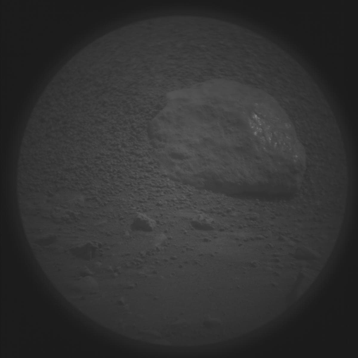 Mars image captured by SUPERCAM_RMI on Perseverance