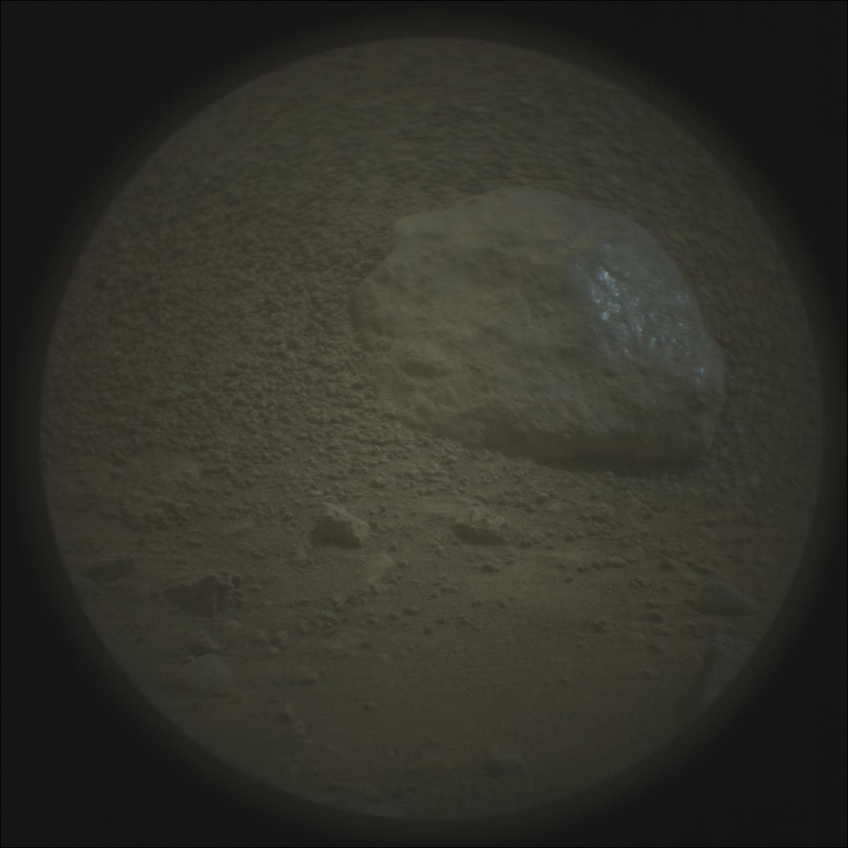 Mars image captured by SUPERCAM_RMI on Perseverance