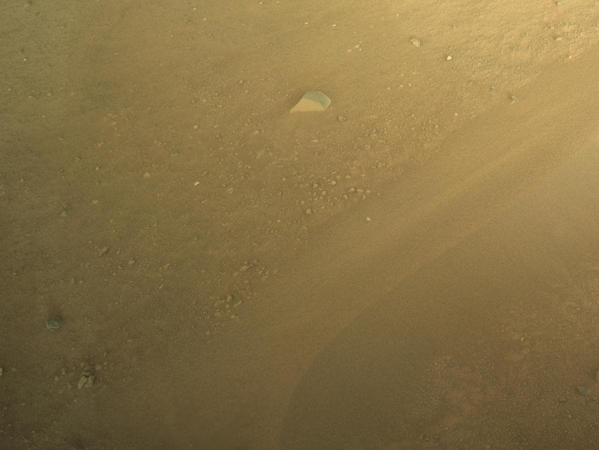 Mars image captured by NAVCAM_LEFT on Perseverance