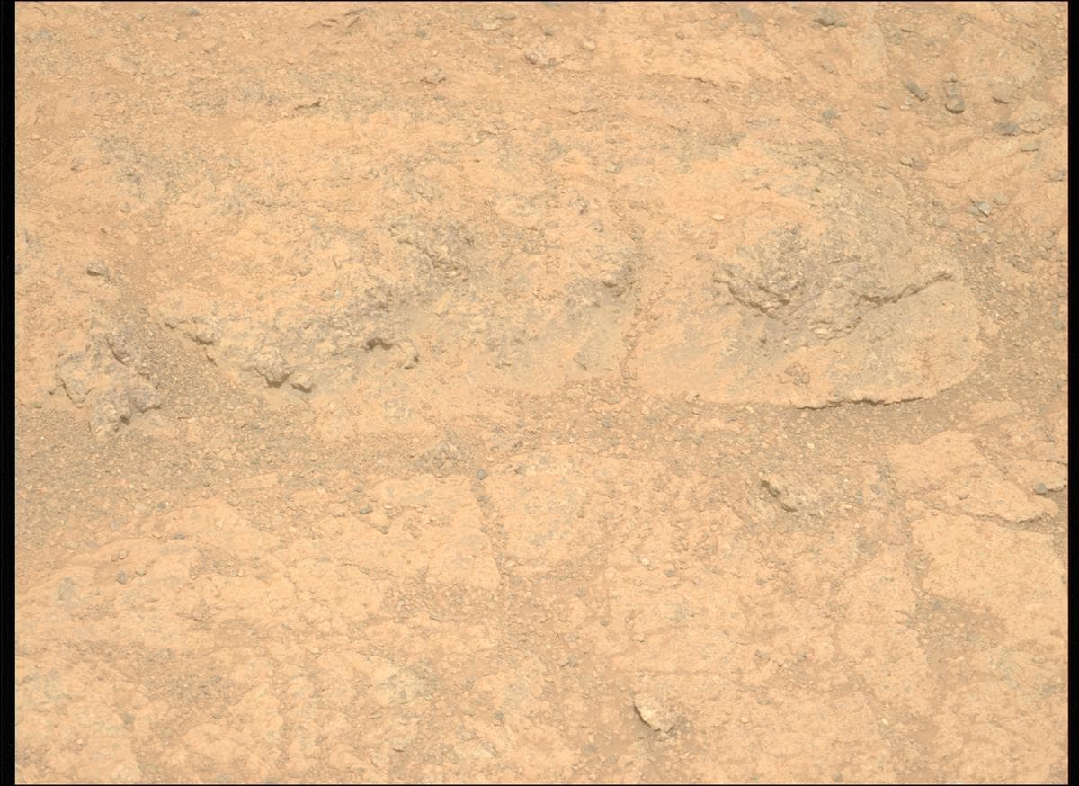 Mars image captured by MCZ_LEFT on Perseverance