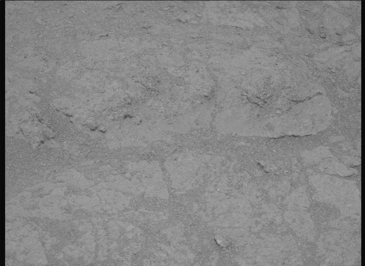 Mars image captured by MCZ_LEFT on Perseverance
