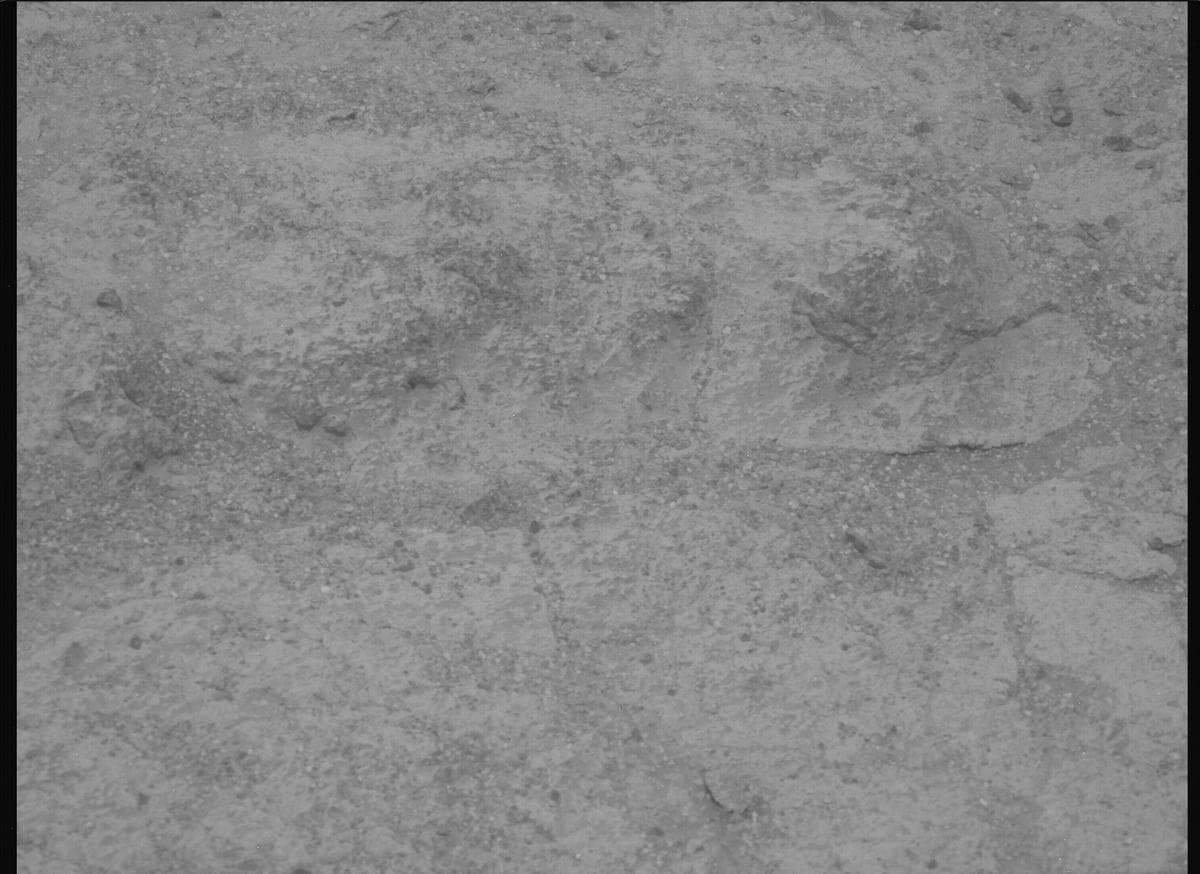 Mars image captured by MCZ_LEFT on Perseverance