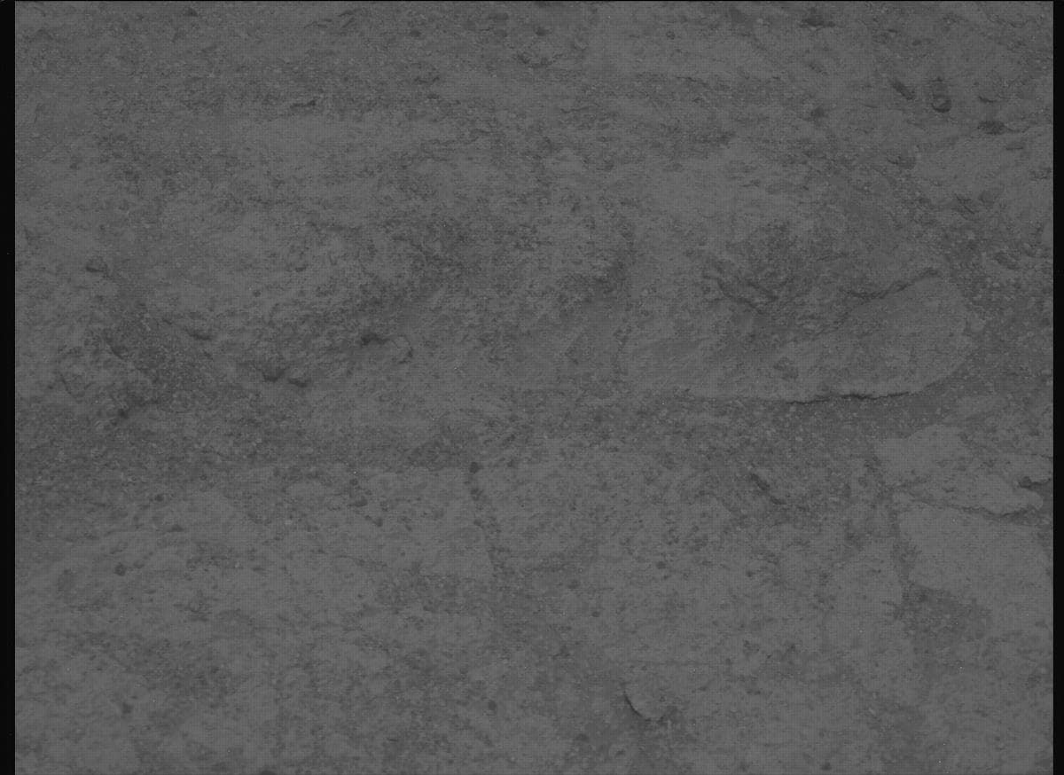Mars image captured by MCZ_LEFT on Perseverance