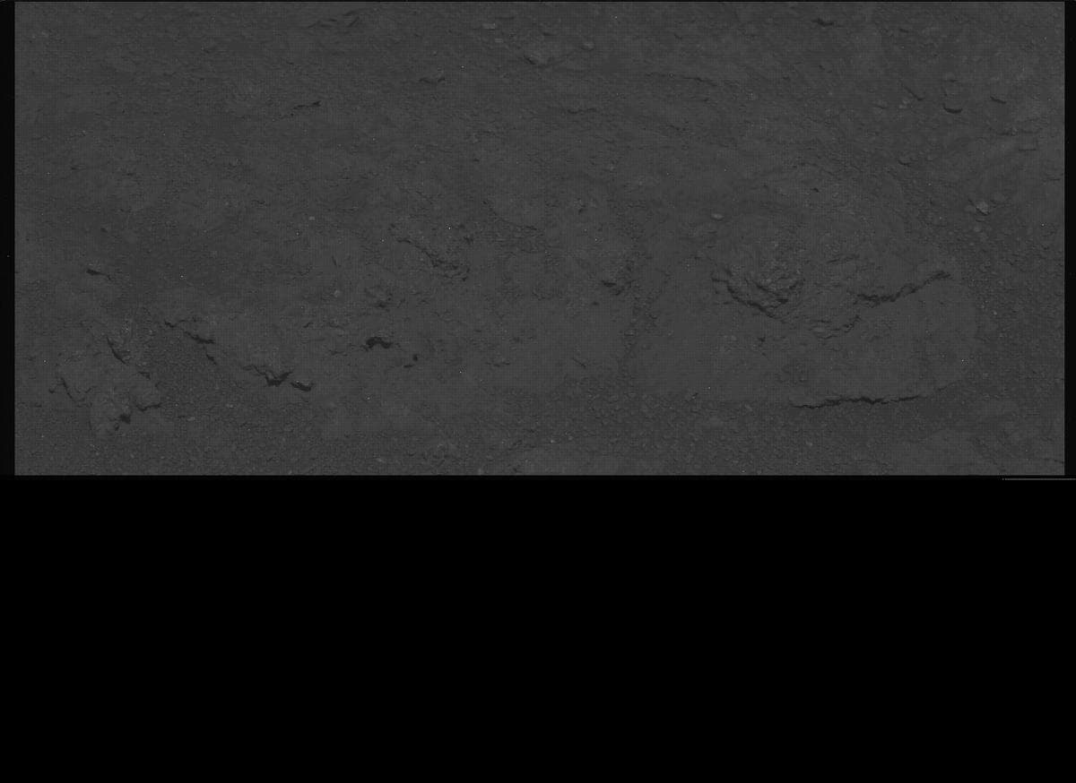 Mars image captured by MCZ_LEFT on Perseverance