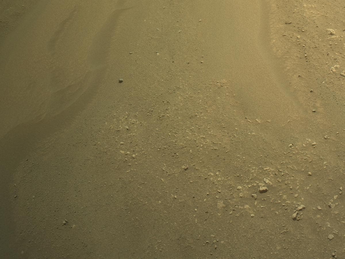 Mars image captured by NAVCAM_LEFT on Perseverance