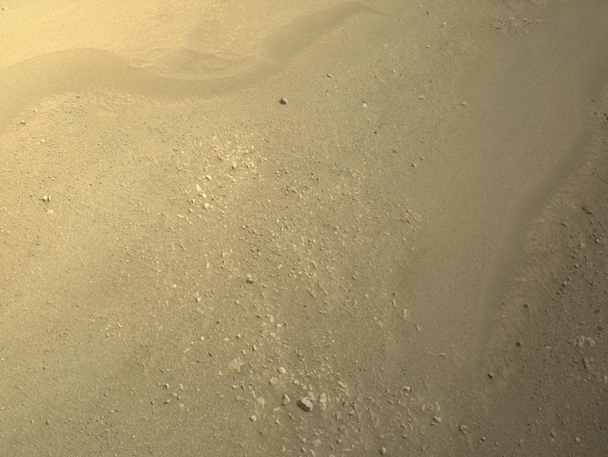 Mars image captured by NAVCAM_RIGHT on Perseverance