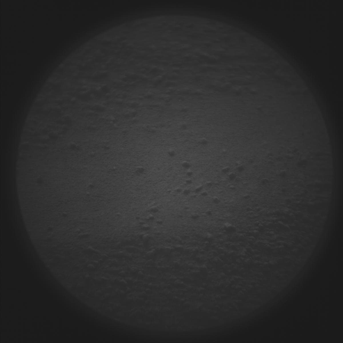 Mars image captured by SUPERCAM_RMI on Perseverance