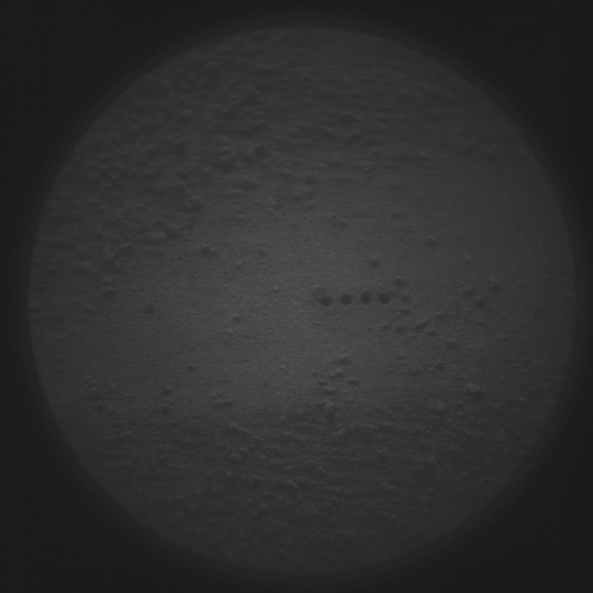 Mars image captured by SUPERCAM_RMI on Perseverance