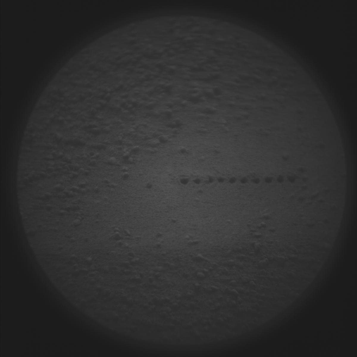 Mars image captured by SUPERCAM_RMI on Perseverance