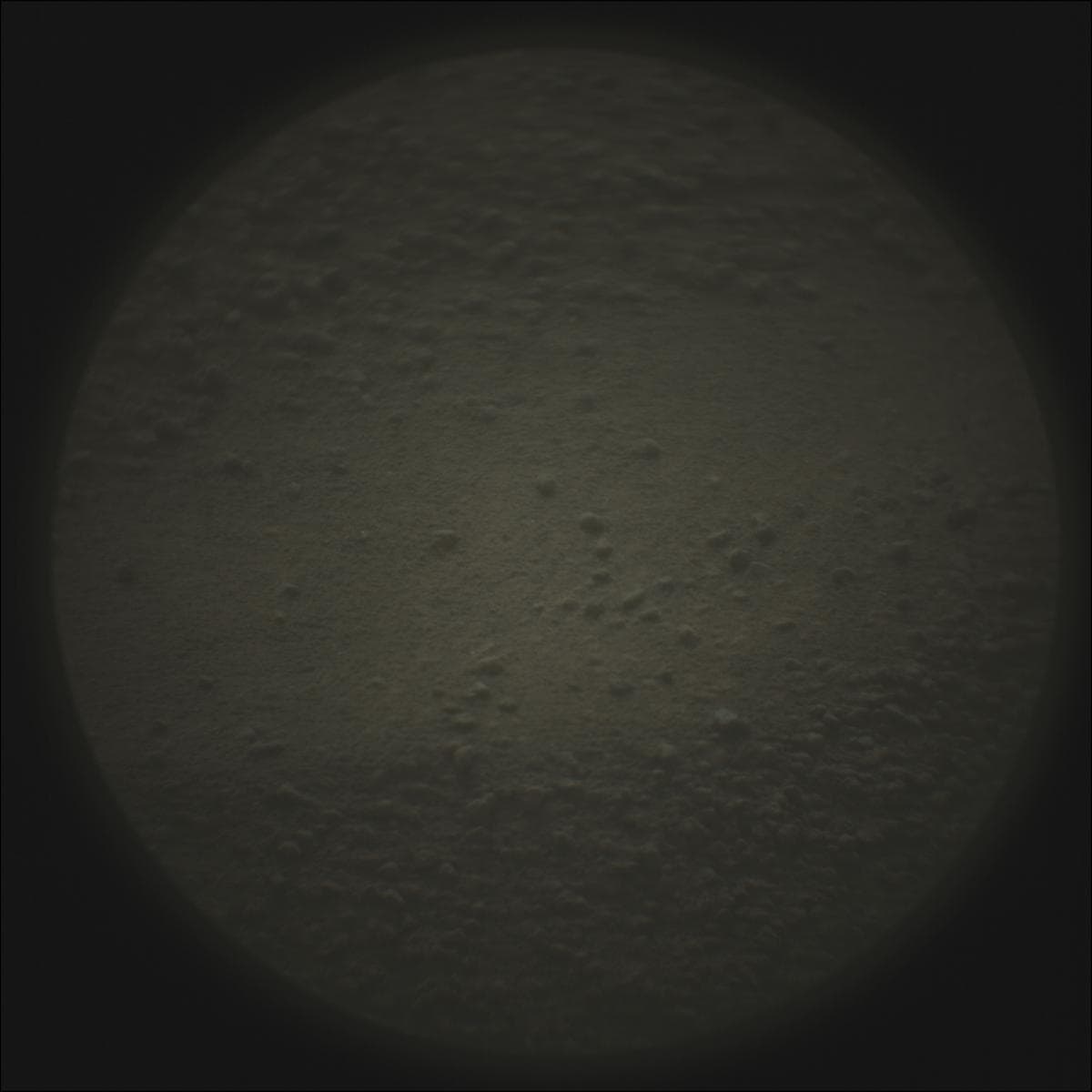 Mars rover photo