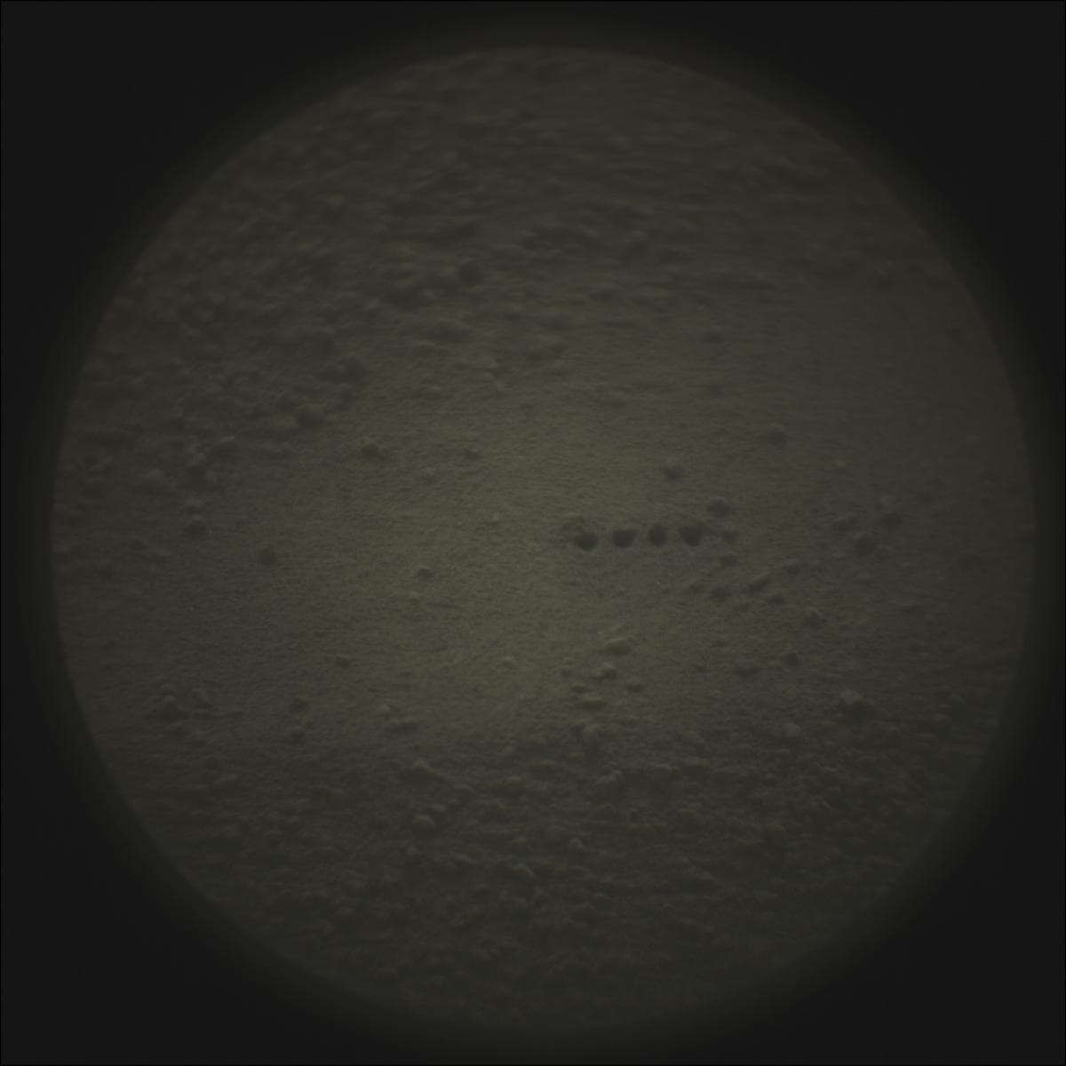 Mars image captured by SUPERCAM_RMI on Perseverance