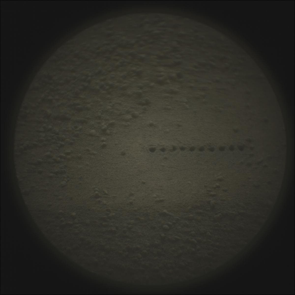 Mars image captured by SUPERCAM_RMI on Perseverance