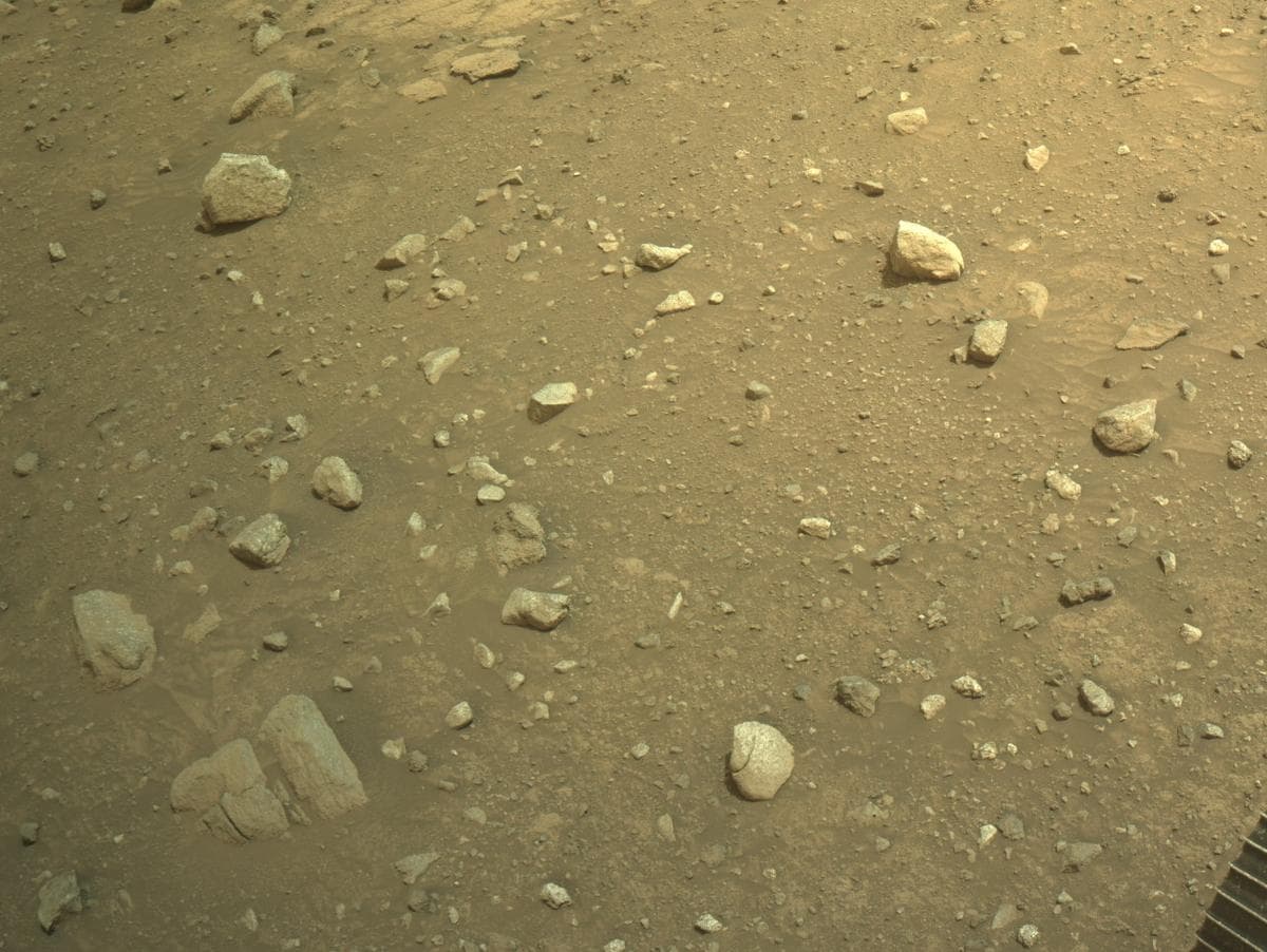 Mars image captured by NAVCAM_LEFT on Perseverance