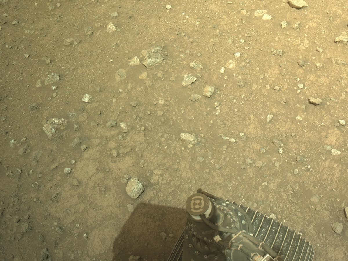 Mars image captured by NAVCAM_RIGHT on Perseverance