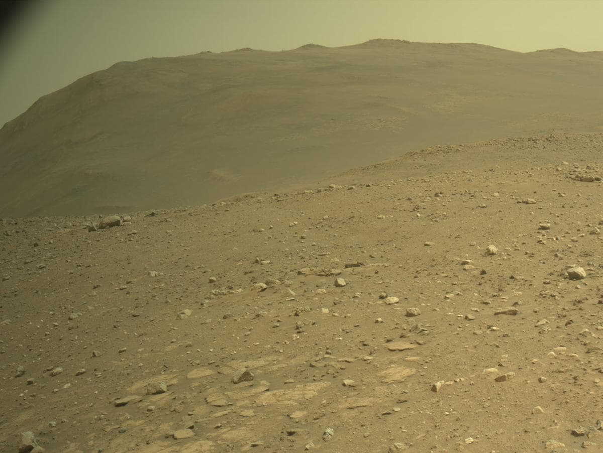 Mars image captured by NAVCAM_RIGHT on Perseverance