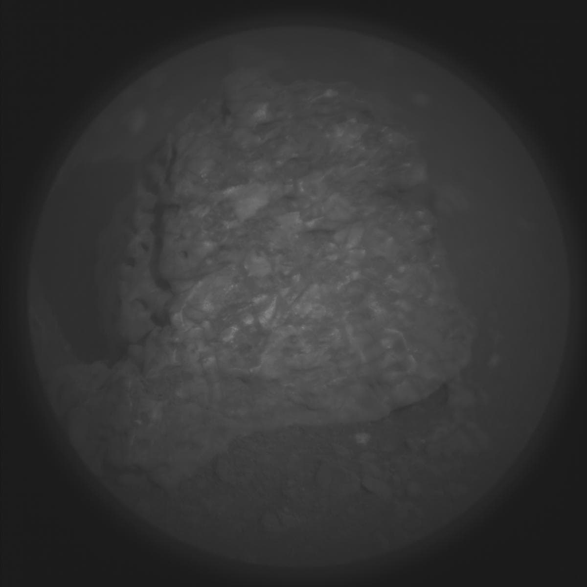 Mars image captured by SUPERCAM_RMI on Perseverance