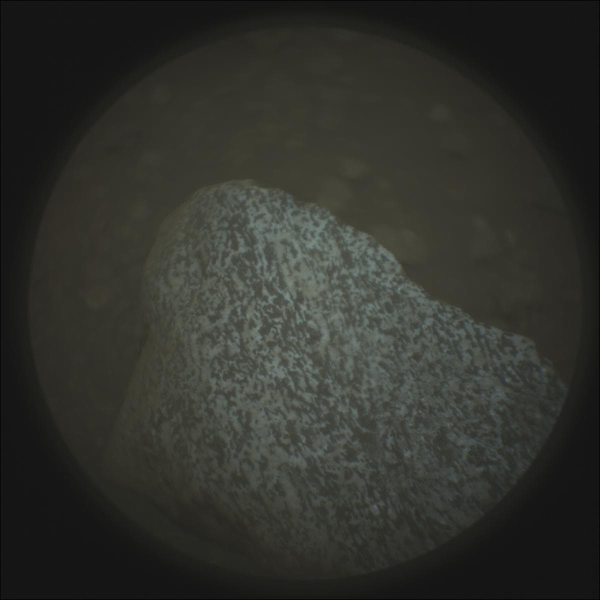 Mars image captured by SUPERCAM_RMI on Perseverance