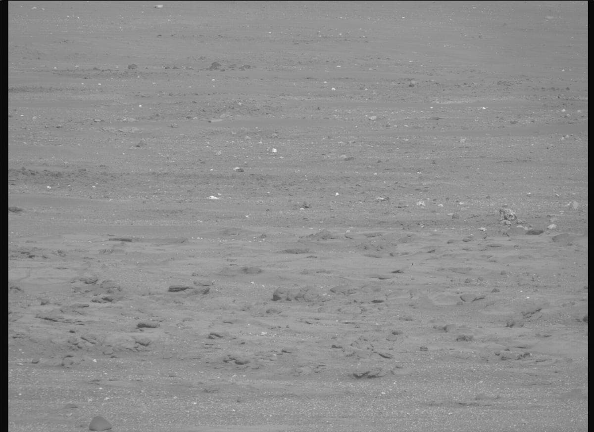 Mars image captured by MCZ_RIGHT on Perseverance