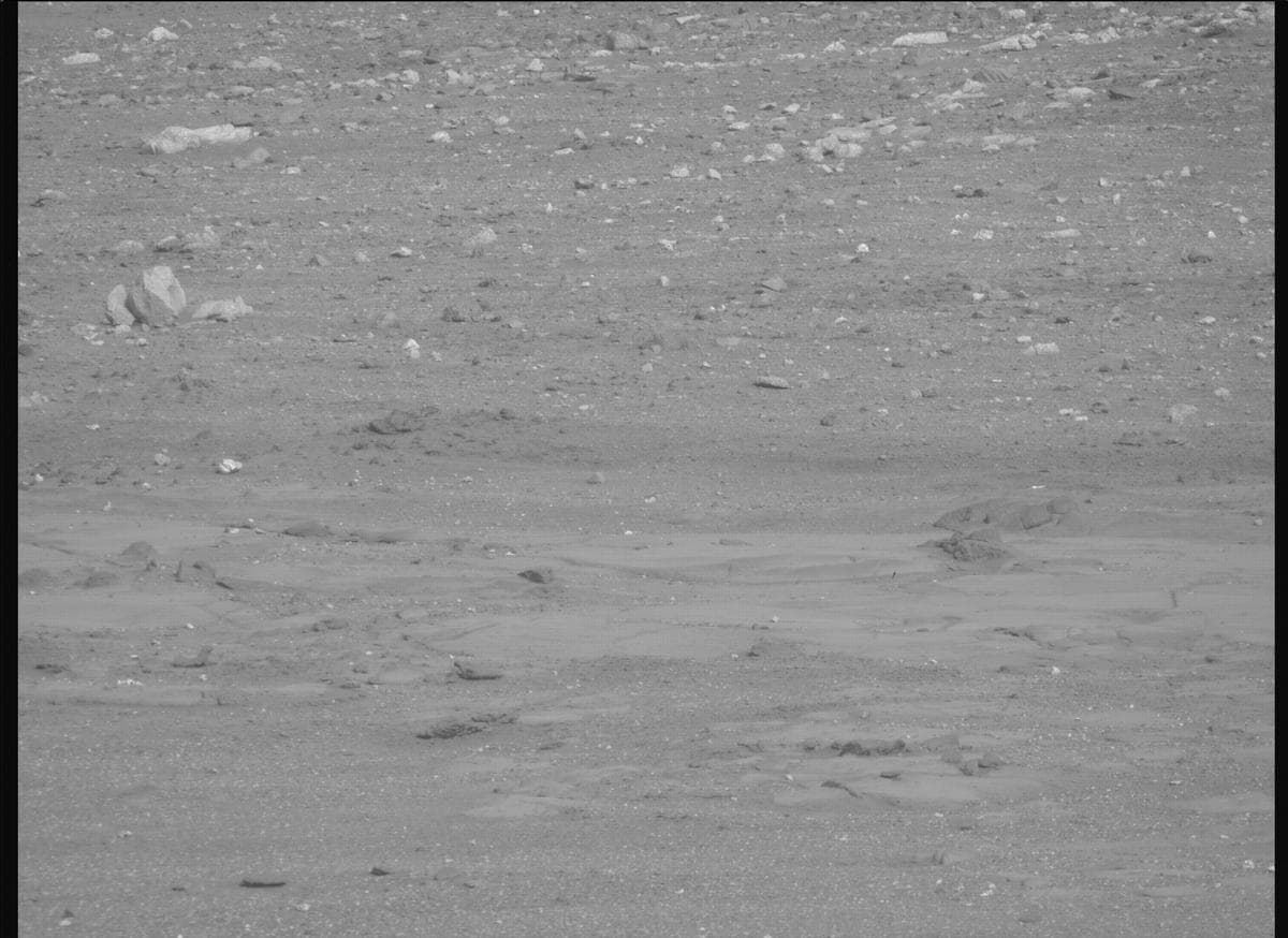 Mars image captured by MCZ_RIGHT on Perseverance
