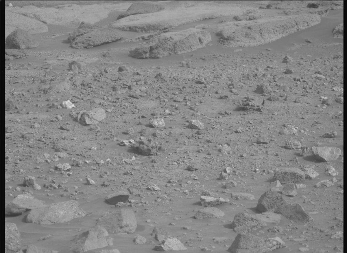 Mars image captured by MCZ_RIGHT on Perseverance