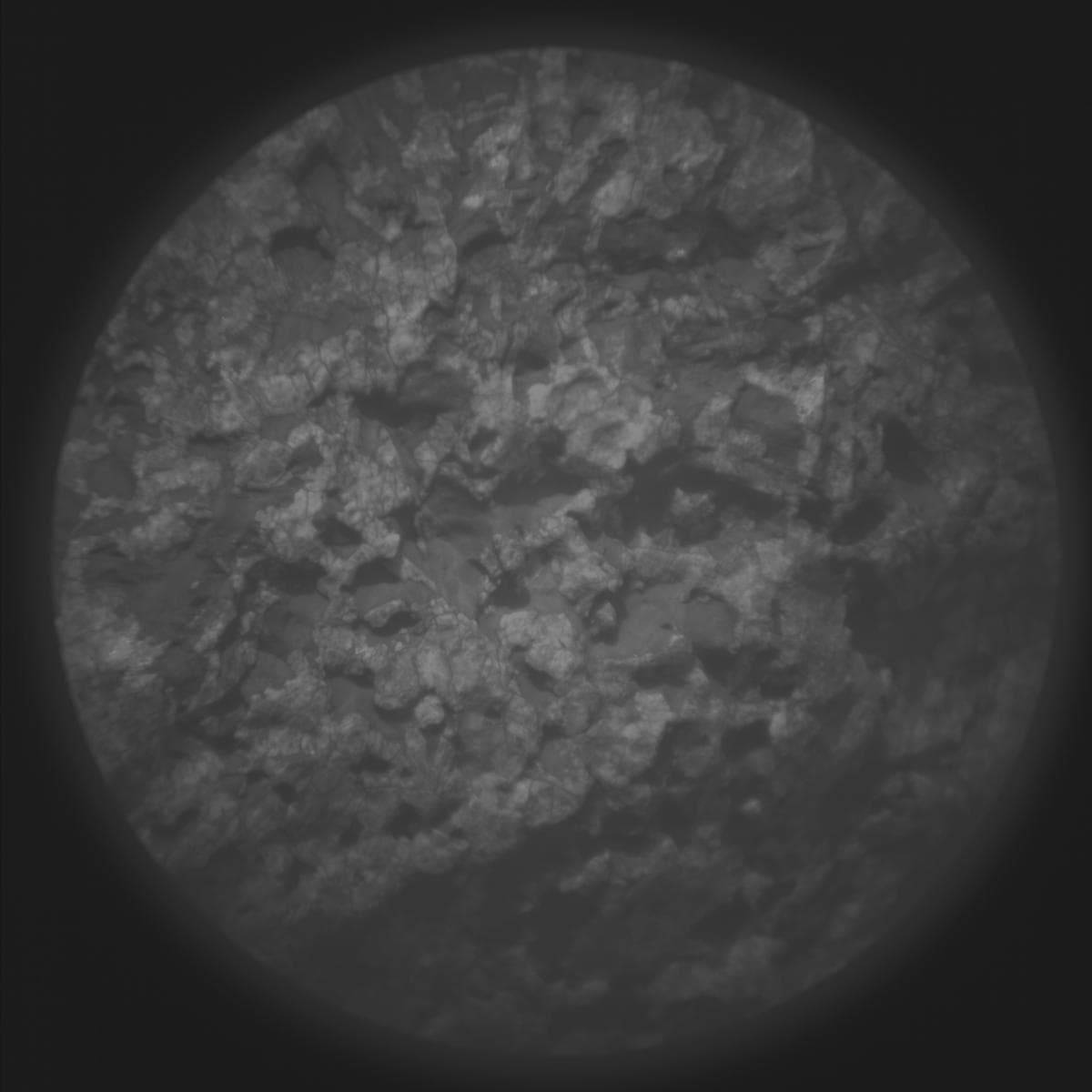 Mars rover photo