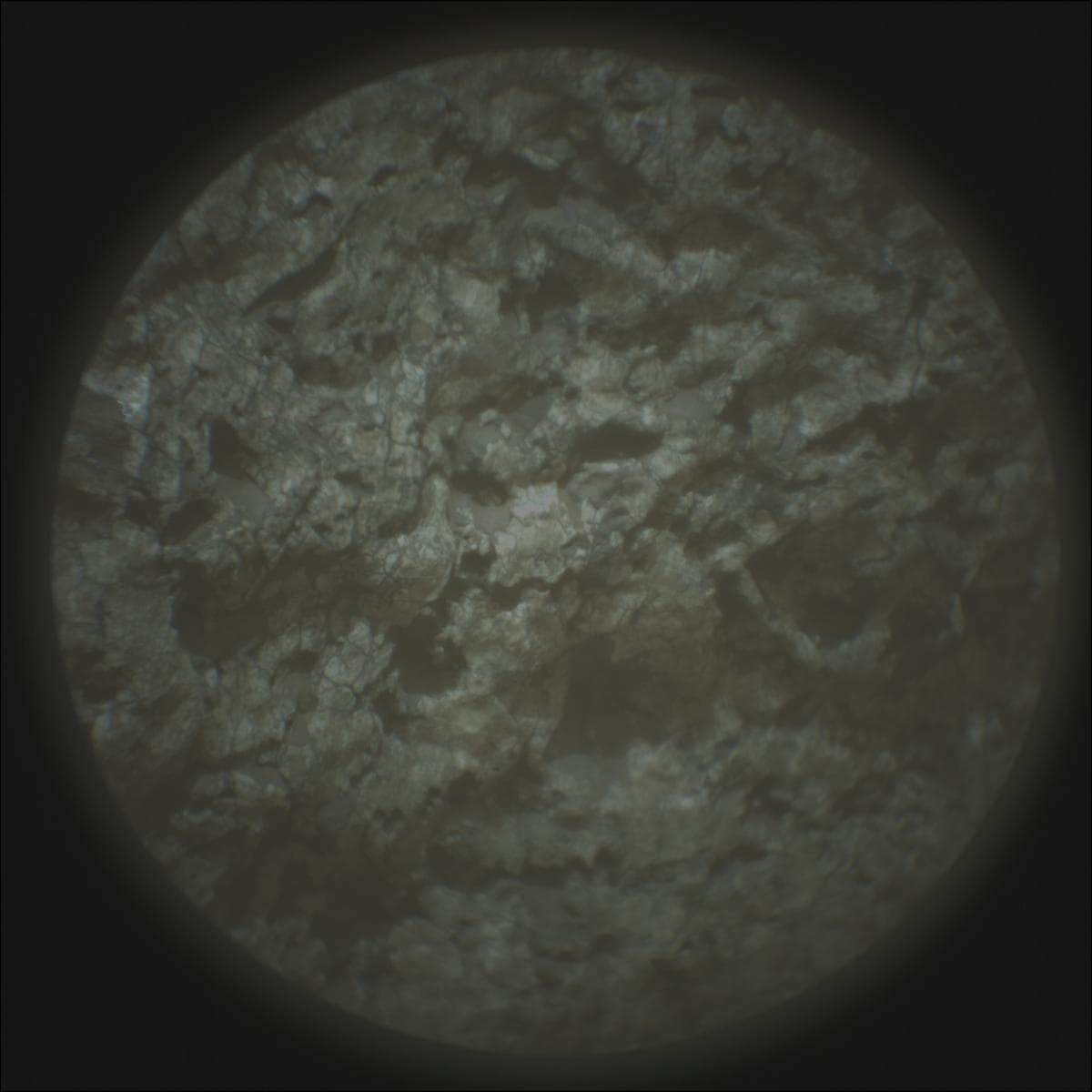 Mars rover photo