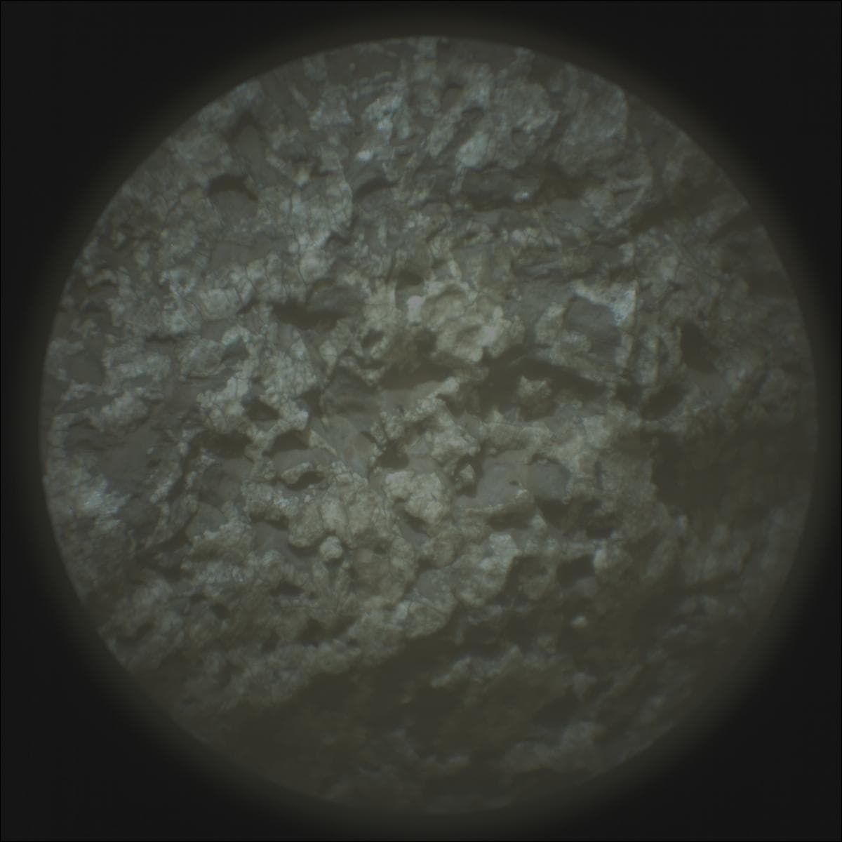 Mars image captured by SUPERCAM_RMI on Perseverance