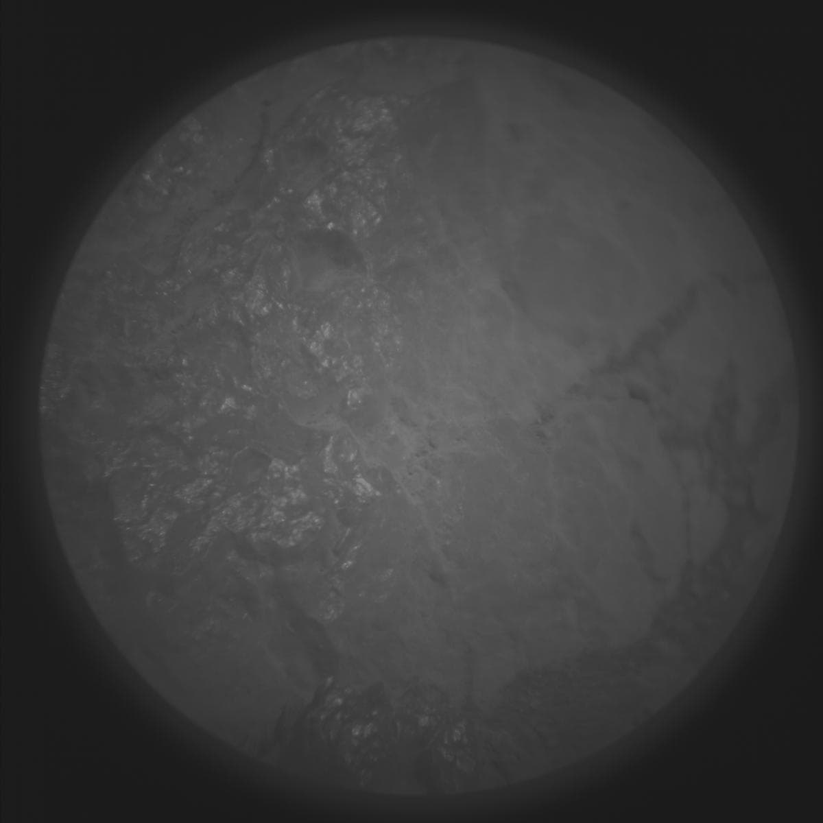 Mars image captured by SUPERCAM_RMI on Perseverance