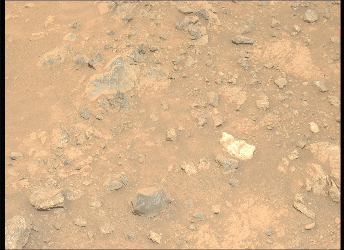 Mars image captured by MCZ_LEFT on Perseverance